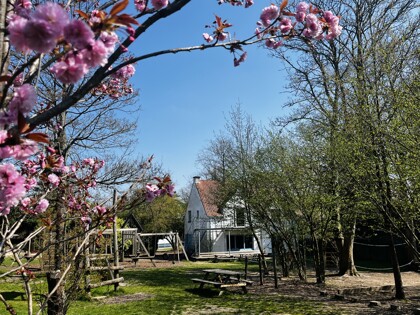 Image 20250410 124752 784
